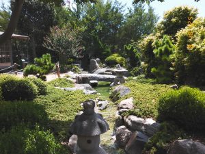 A Hidden Gem in Fredericksburg: Japanese Garden of Peace