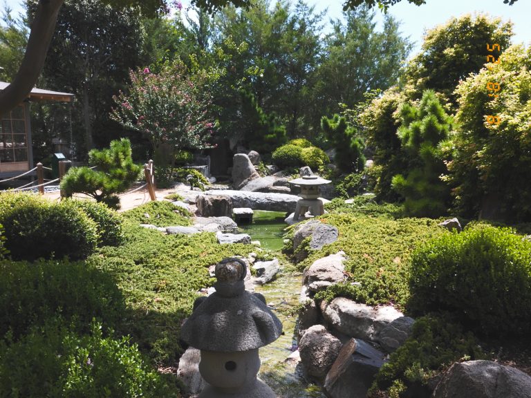 A Hidden Gem in Fredericksburg: Japanese Garden of Peace